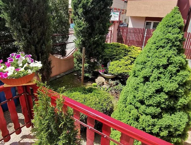 Dom Pod Tujami Panzió 3*