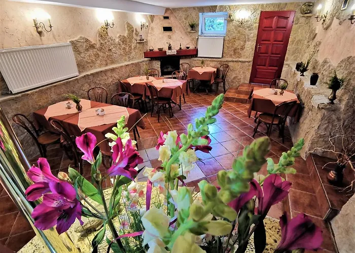 Bed & Breakfast Dom Pod Tujami 3*