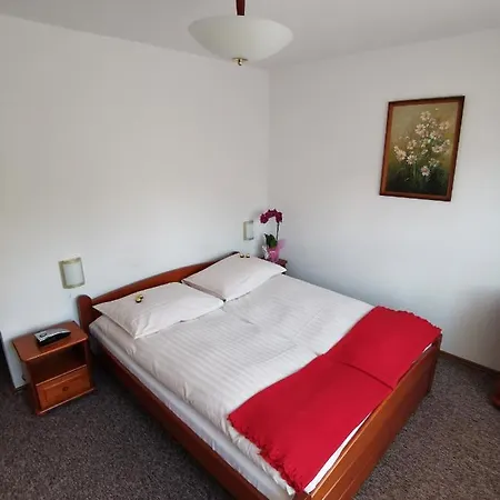 Bed and breakfast Dom Pod Tujami *