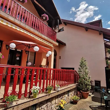 Dom Pod Tujami 3* クラクフ