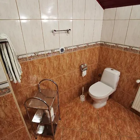 Dom Pod Tujami ベッド・アンド・ブレックファスト 3*